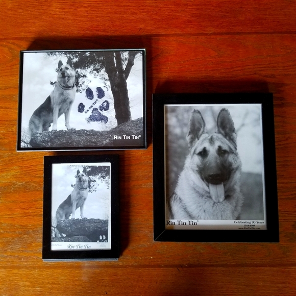 Rin Tin Tin framed prints.